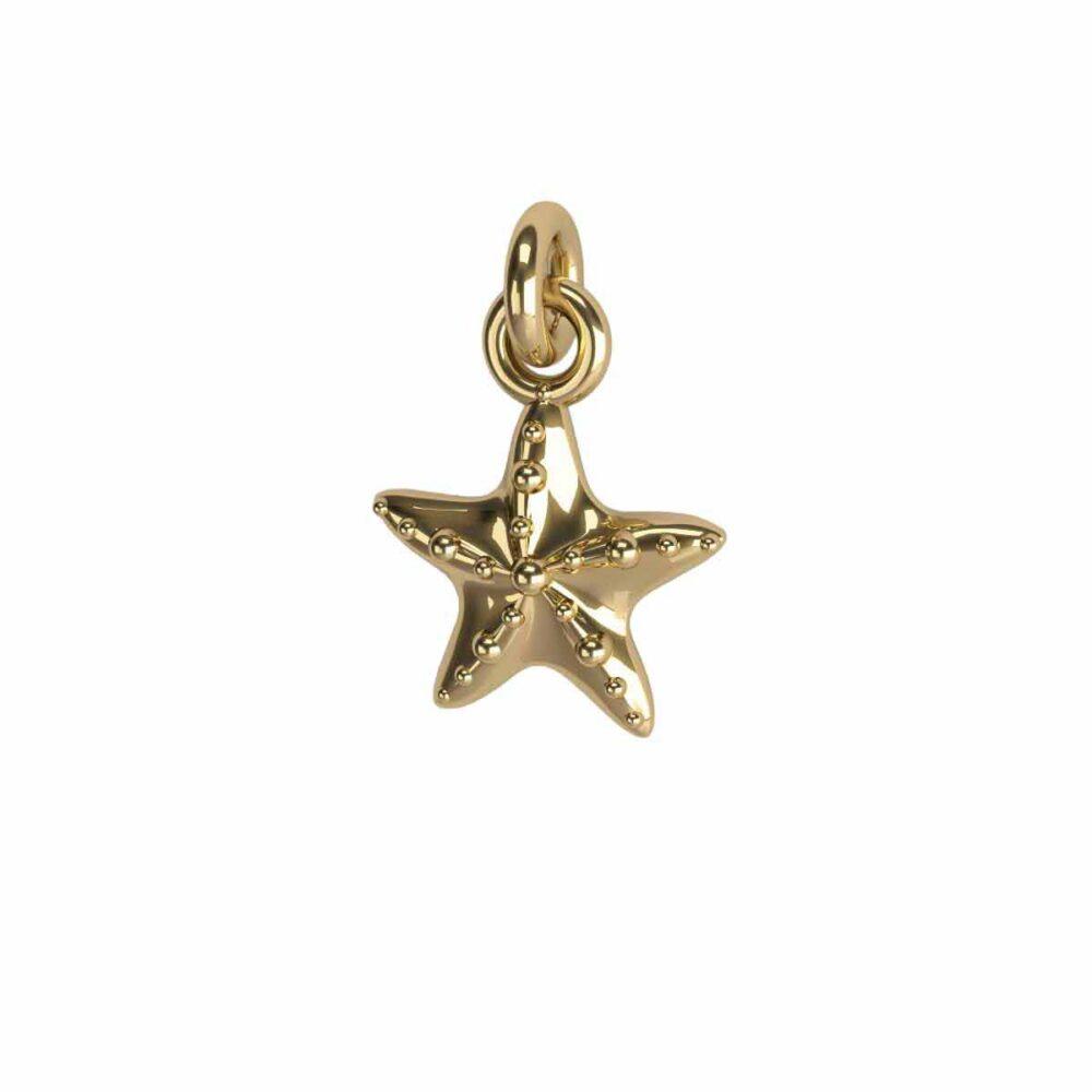 Charm Stella marina 3D