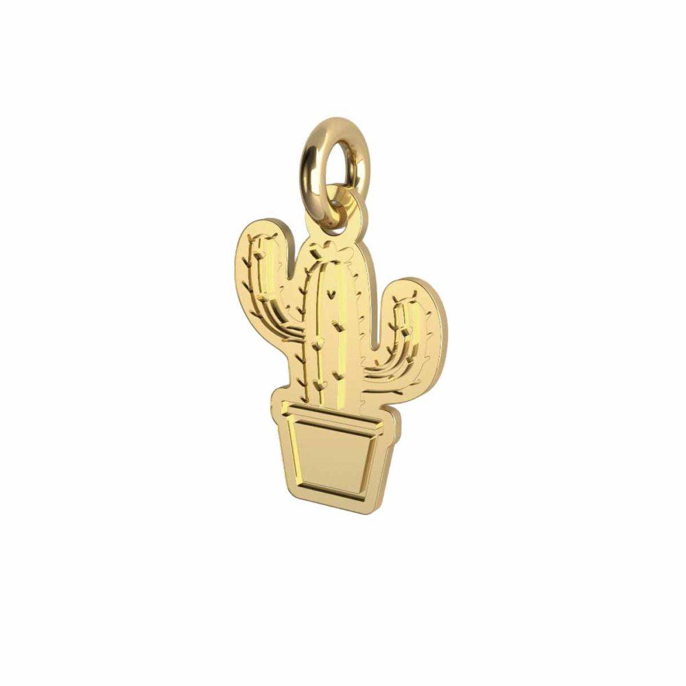 Charm Cactus