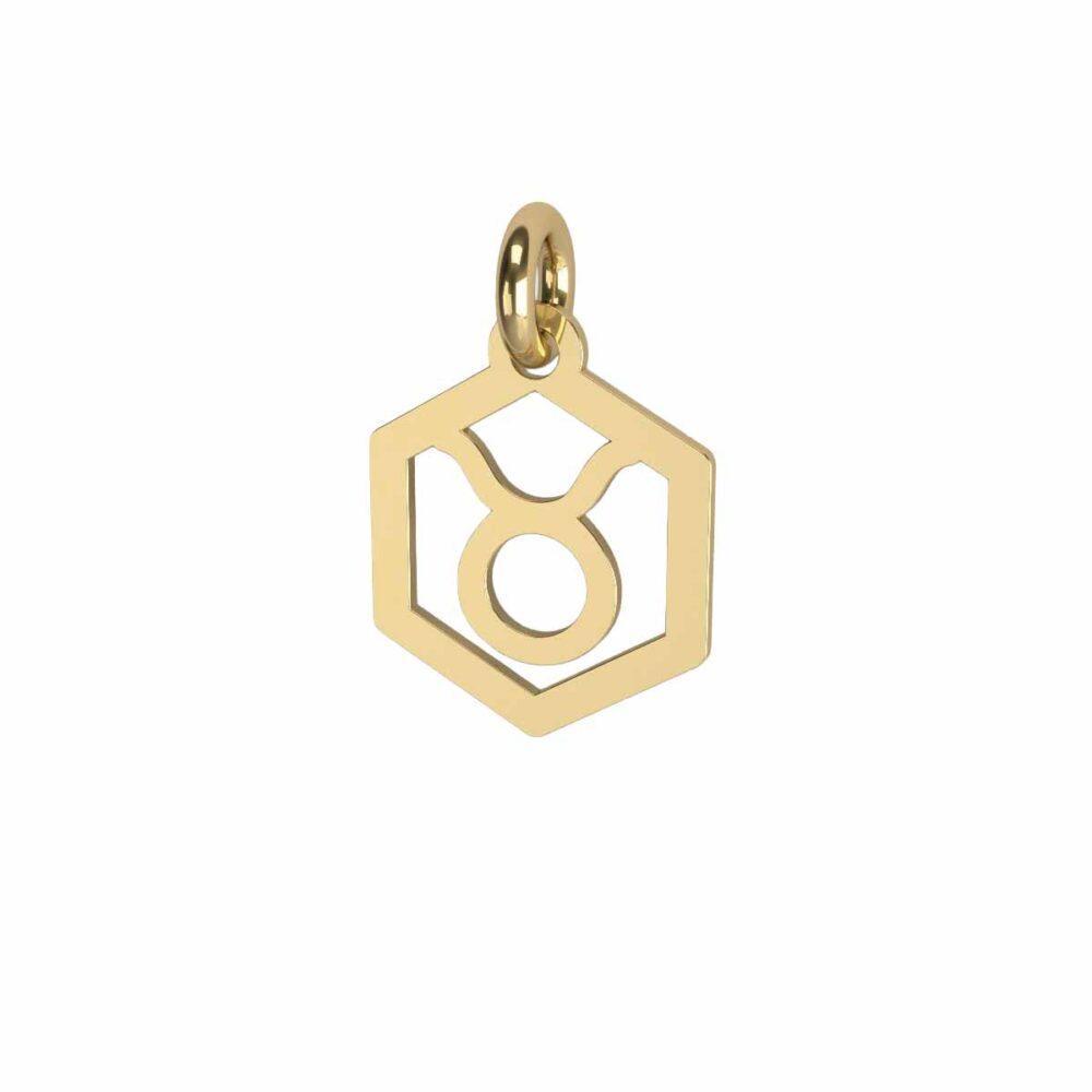 Charm Toro
